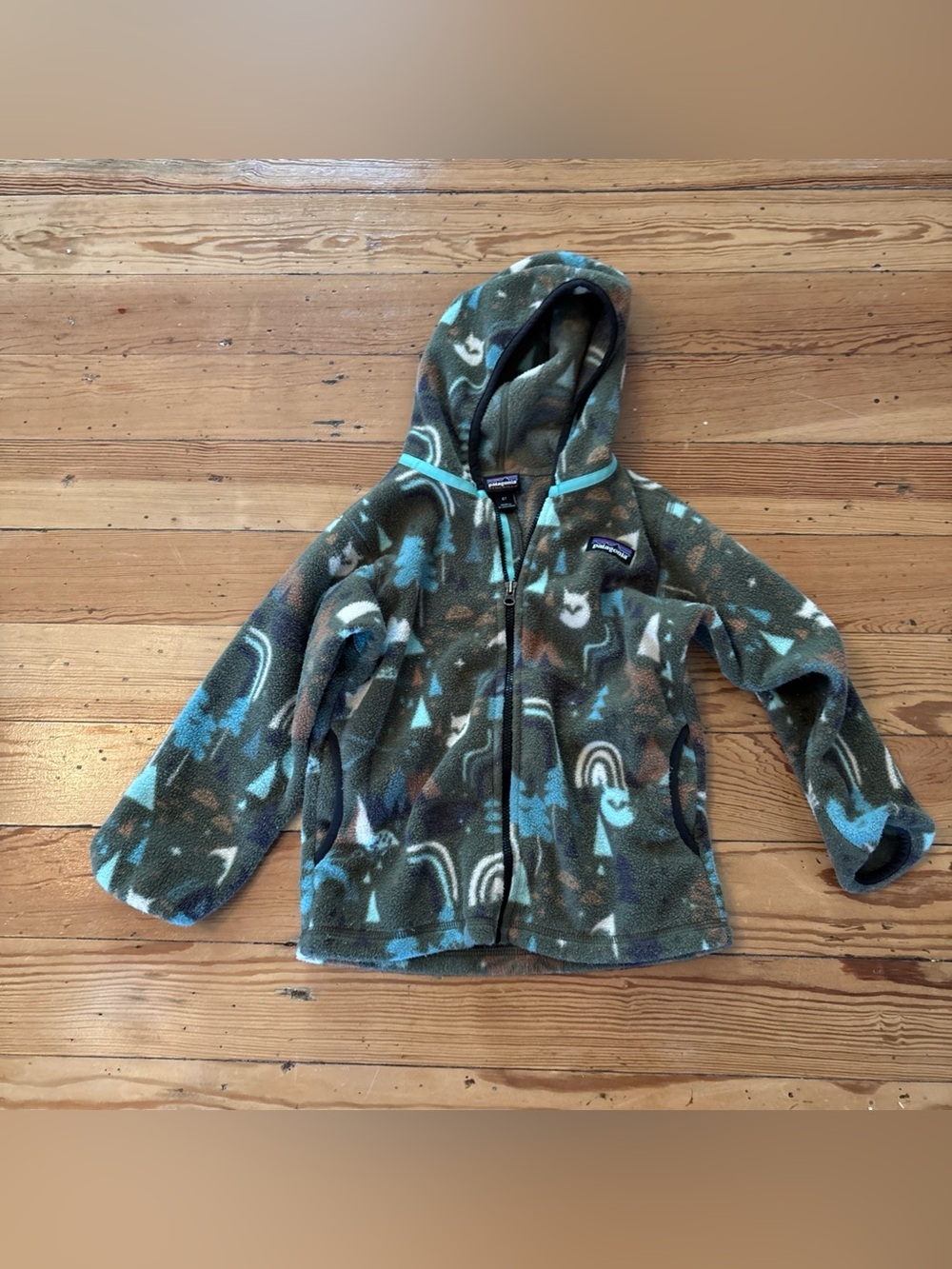 Patagonia Baby Synchilla Fleece Jacket 4T Toddler Hood Zip Cardigan